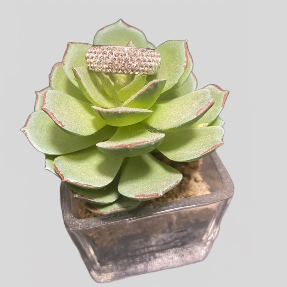 Elegant Silver Titanium Women's Ring